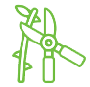 A green vector illustration showing a pair of pruning shears cutting a branch with thorns. The shears are positioned to the right of the branch which is diagonal, and the design is simple and stylized. The background is transparent.