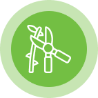 A white icon of pruning shears cutting a branch, set against a green circular background.