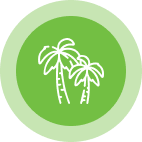 A green circular icon features a white line drawing of two palm trees, one taller than the other, standing side by side. The icon suggests a tropical or beach-related theme.