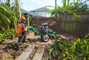 professional stump grinding after tree removal