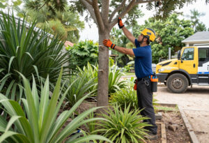 garden friendly tree removal