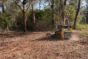 clearing land