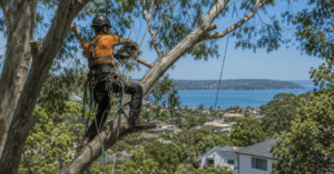 Professional Tree Climber Guide